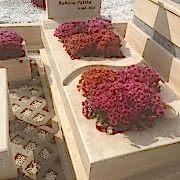 Özel Tasarım Mezarlar