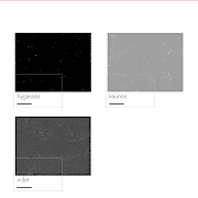 Coante Mutfak Tezgahı Modelleri