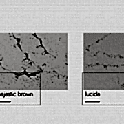 Ankara Coante Mutfak Tezgahı